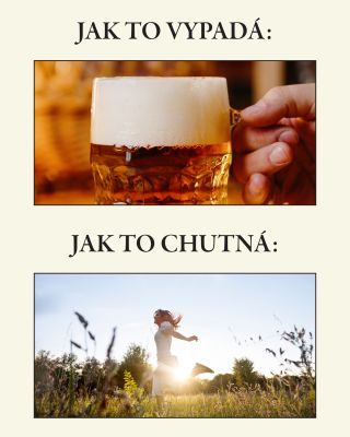 Ten pocit, když si dám první doušek vychlazeného svijanského piva...😋🤩 #svijany #pivovarsvijany #pivovar #pivosvijany #pivo